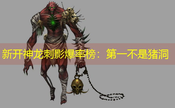 新开神龙刺影爆率榜：第一不是猪洞