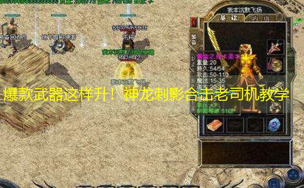爆款武器这样升！神龙刺影合击老司机教学