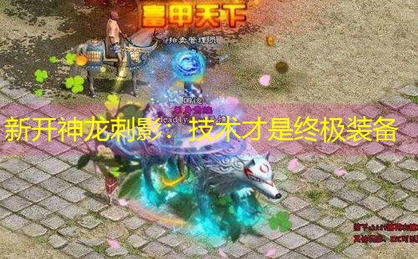 新开神龙刺影：技术才是终极装备