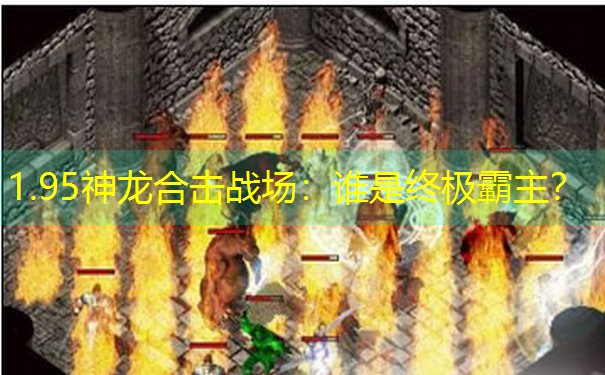 <b>1.95神龙合击战场：谁是终极霸主？</b>