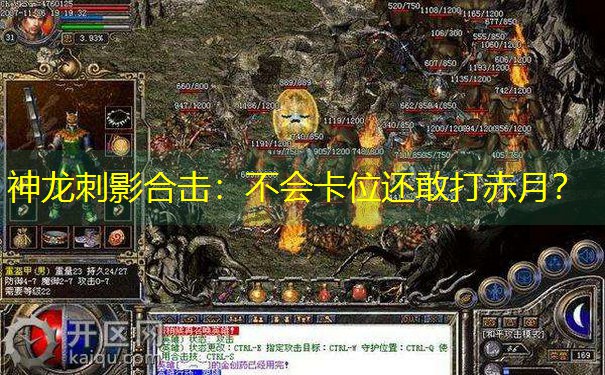 神龙刺影合击：不会卡位还敢打赤月？