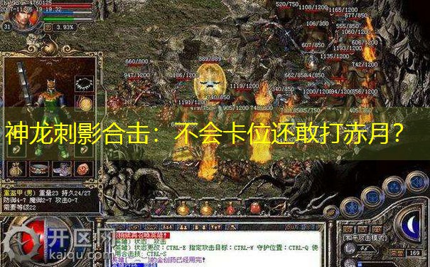 神龙刺影合击：不会卡位还敢打赤月？