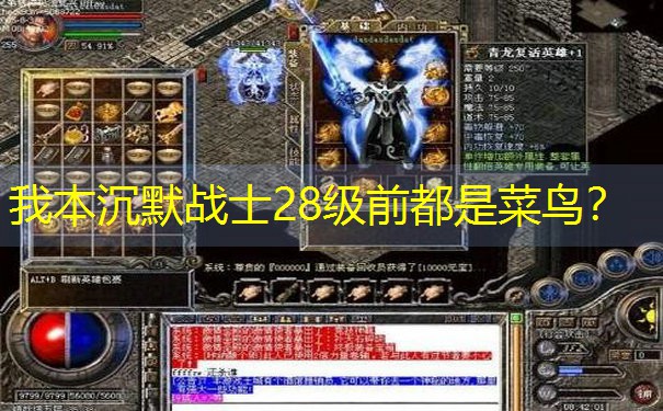 我本沉默战士28级前都是菜鸟？