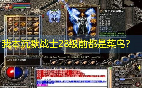 我本沉默战士28级前都是菜鸟？