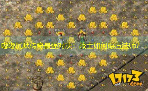 嘟嘟沉默传奇最强对决：战士如何碾压法师？