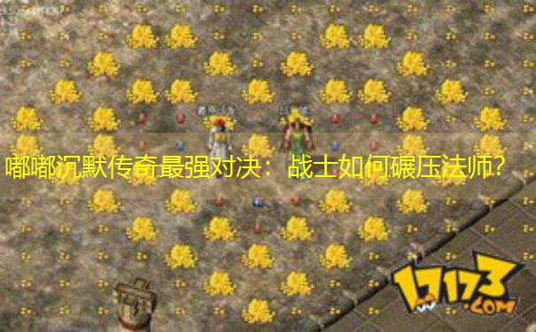 嘟嘟沉默传奇最强对决：战士如何碾压法师？