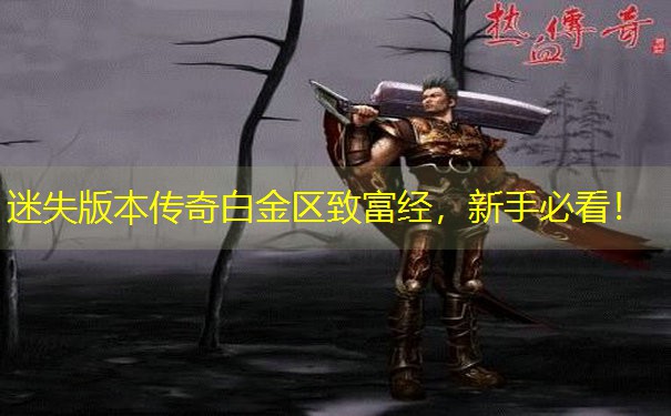 迷失版本传奇白金区致富经，新手必看！