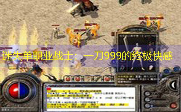 迷失单职业战士：一刀999的终极快感