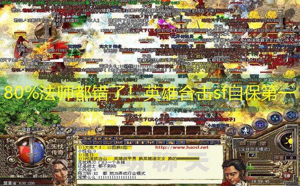 80%法师都错了！英雄合击sf自保第一