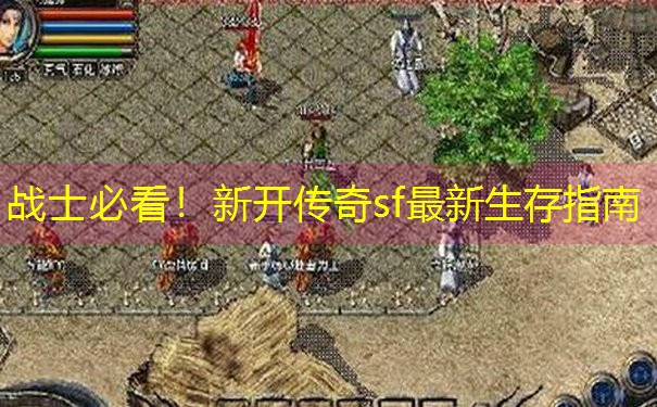 战士必看!新开传奇sf最新生存指南 战士必看!新开传奇sf最新生存指南