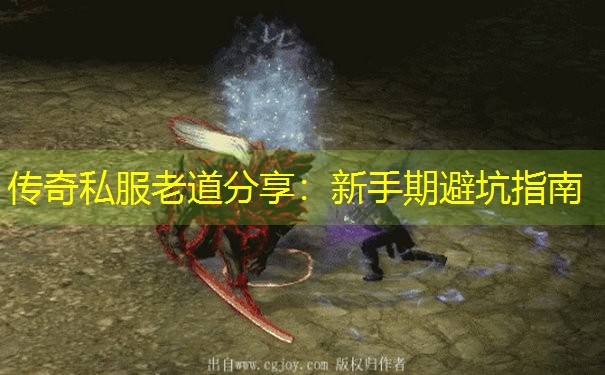 传奇私服老道分享：新手期避坑指南