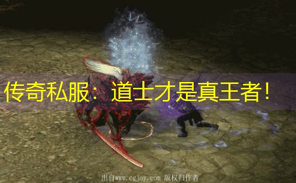 <b>传奇私服：道士才是真王者！</b>