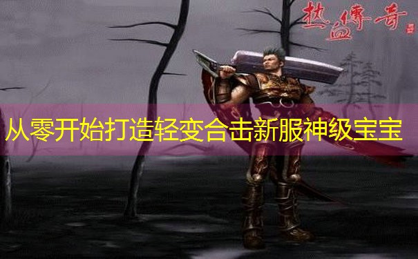 <b>从零开始打造轻变合击新服神级宝宝</b>