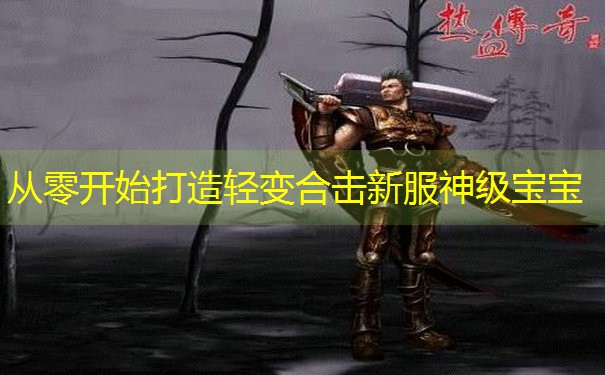 从零开始打造轻变合击新服神级宝宝