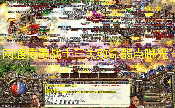 <b>网通传奇战士三大致命弱点曝光</b>
