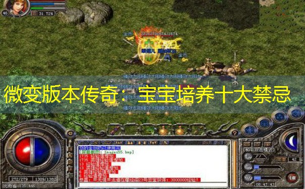 微变版本传奇：宝宝培养十大禁忌