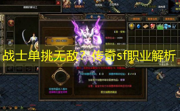 战士单挑无敌？传奇sf职业解析