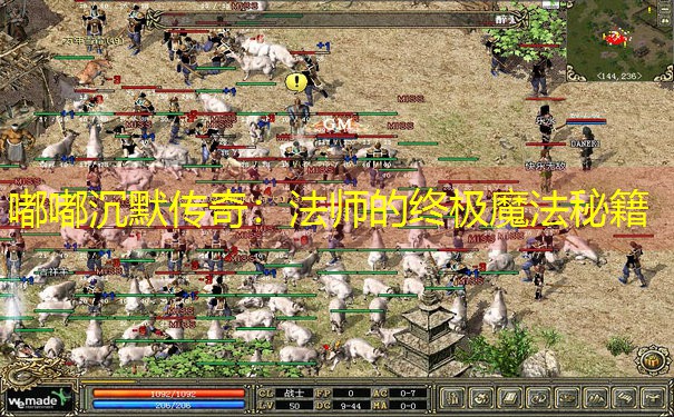 嘟嘟沉默传奇：法师的终极魔法秘籍