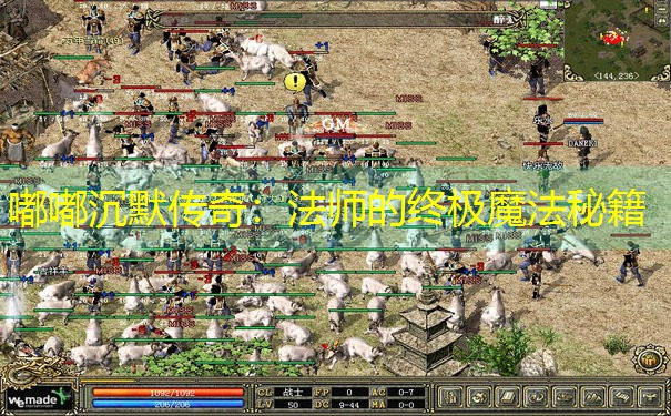 嘟嘟沉默传奇：法师的终极魔法秘籍