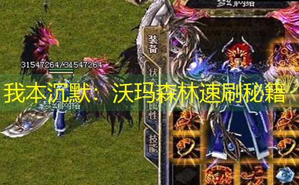 我本沉默：沃玛森林速刷秘籍