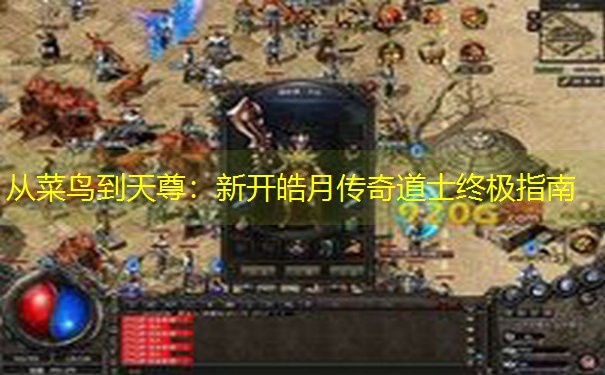 从菜鸟到天尊：新开皓月传奇道士终极指南